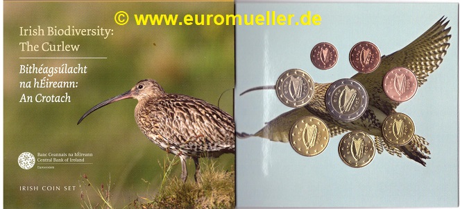 Irland ...offizieller KMS 2024...Brachvogel   