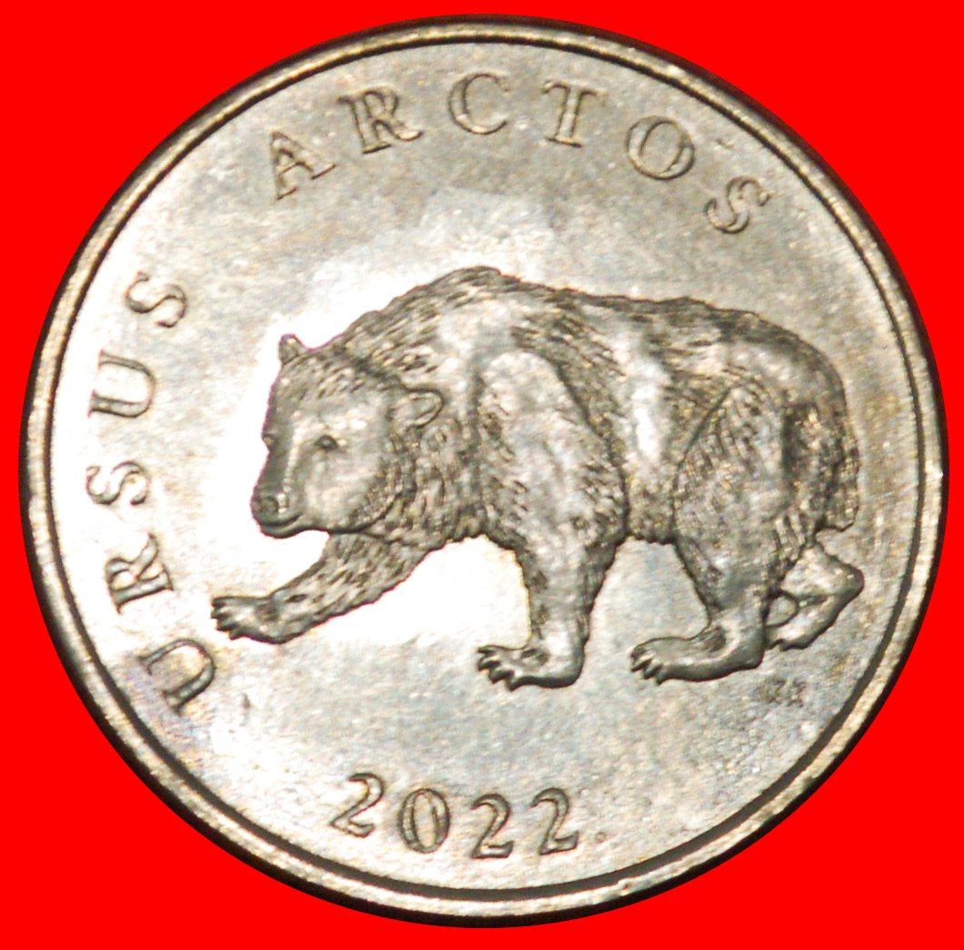 * LATIN BEAR (1994-2022): CROATIA ★ 5 KUNAS 2022 MINT LUSTRE UNCOMMON! LOW START★ NO RESERVE!