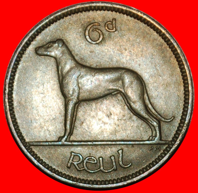 Ⰶ GROSSBRITANNIEN (1942-1969): IRLAND★6 PENCE 1956 IRISCHER WOLFSHUND! UNGEWÖHNLICH★OHNE VORBEHALT!
