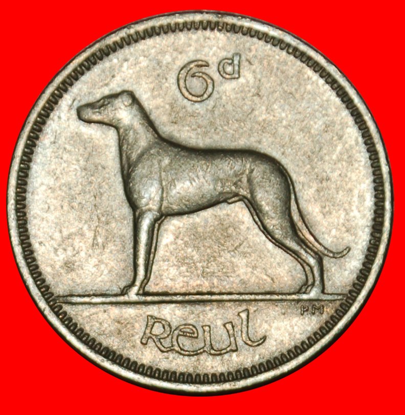 Ⰶ GREAT BRITAIN (1942-1969): IRELAND ★ 6 PENCE 1961 IRISH WOLFHOUND!★LOW START ★ NO RESERVE!