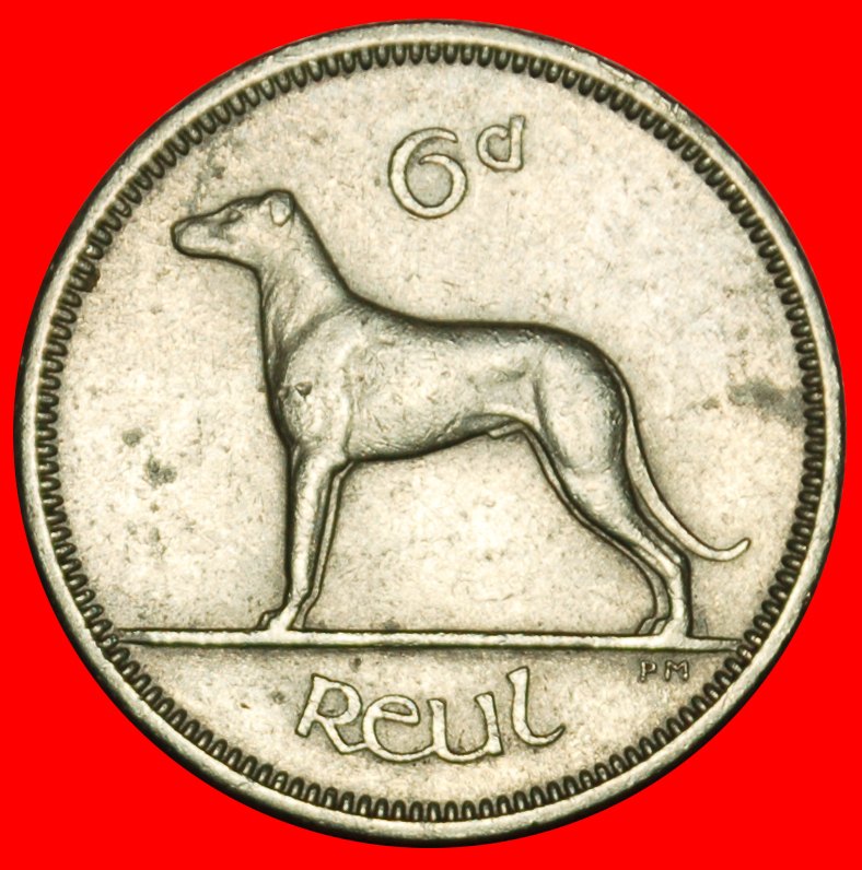 Ⰶ GREAT BRITAIN (1942-1969): IRELAND ★ 6 PENCE 1964 IRISH WOLFHOUND!★LOW START ★ NO RESERVE!