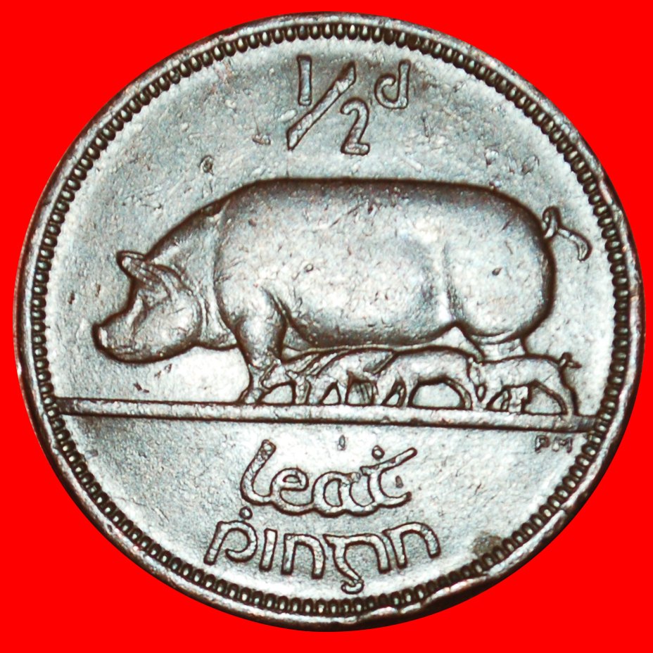 Ⰶ GREAT BRITAIN (1939-1967):IRELAND★1/2 PENNY 1943 PIG WAR ISSUE (1939-1945)★LOW START ★ NO RESERVE!