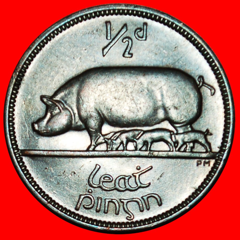 Ⰶ GROSSBRITANNIEN (1939-1967): IRLAND ★1/2 PENNY 1953 SCHWEIN KRIEGSZEIT (1939-1945)★OHNE VORBEHALT!