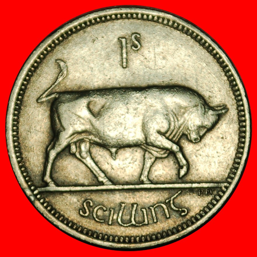 Ⰶ GREAT BRITAIN (1951-1968): IRELAND ★ 1 SHILLING 1966 BULL! LOW START ★ NO RESERVE!