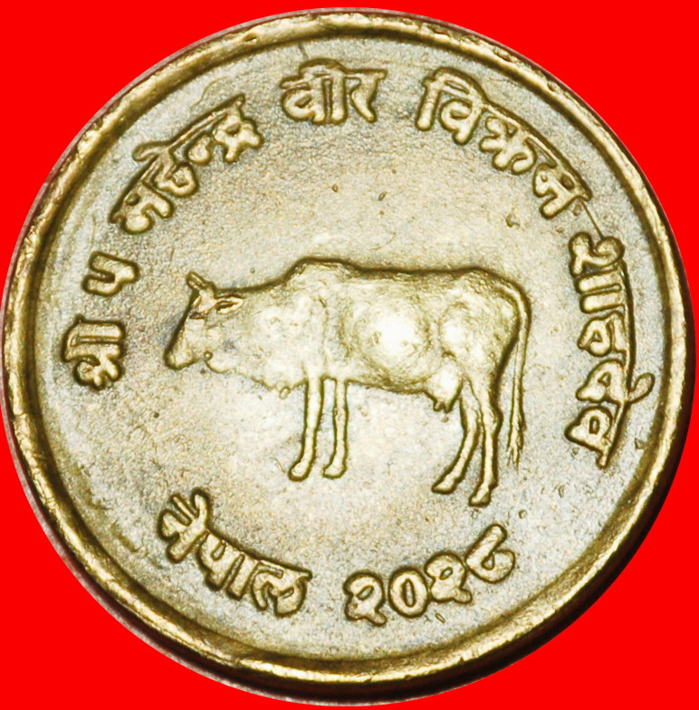 Ⰶ KUH FAO: NEPAL ★ 10 PAISA 2028 (1971) FEHLER! ★OHNE VORBEHALT!