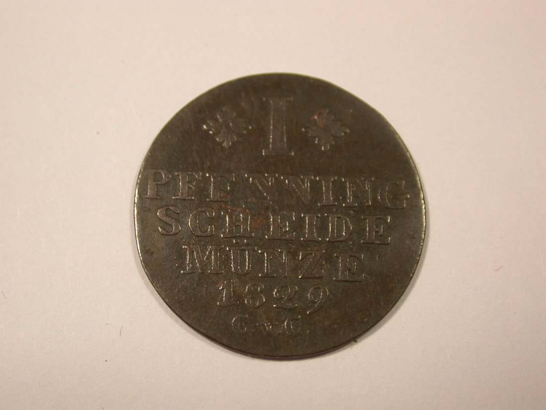 I7 Braunschweig 1 Pfennig 1829 in s-ss Originalbilder