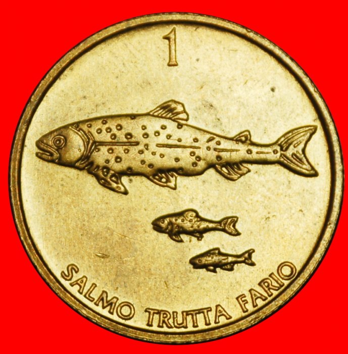 Ⰶ HUNGARY AND SLOVAKIA (1992-2006): YUGOSLAVIA SLOVENIA ★ 1 TOLAR 1995 FISH!★LOW START★ NO RESERVE!