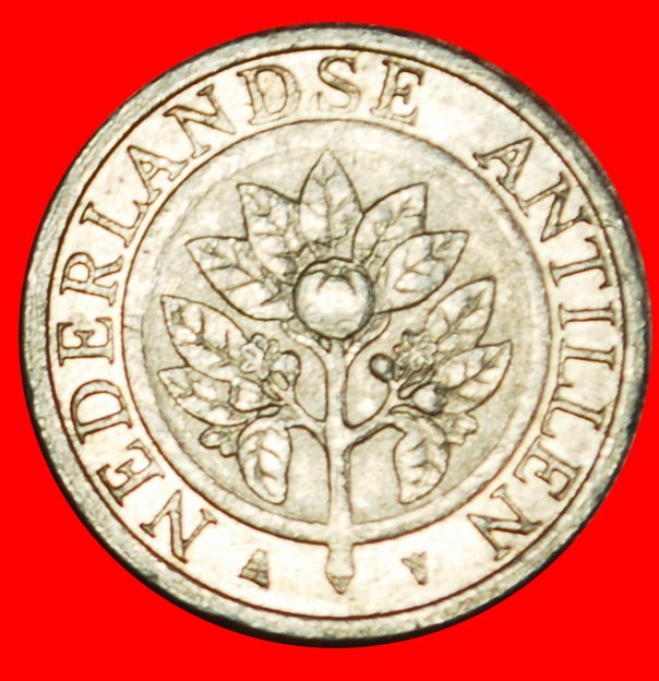  Ⰶ WITHOUT ARUBA ~ SHELLS (1989-2023): NETHERLANDS ANTILLES ★ 5 CENTS 2004! ★LOW START★ NO RESERVE!   
