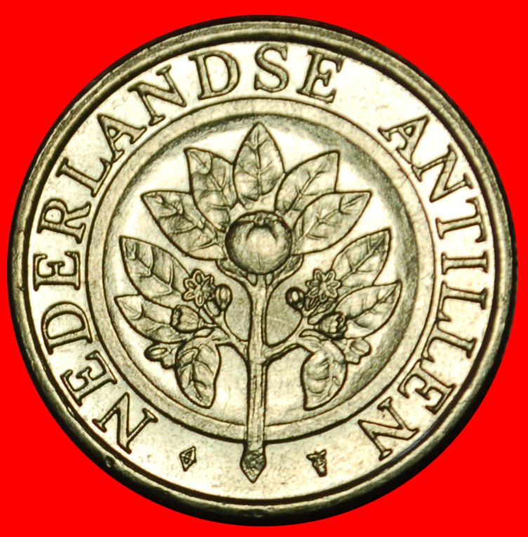  Ⰶ WITHOUT ARUBA ~ SHELLS (1989-2023): NETHERLANDS ANTILLES ★25 CENTS 1998! ★LOW START★ NO RESERVE!   