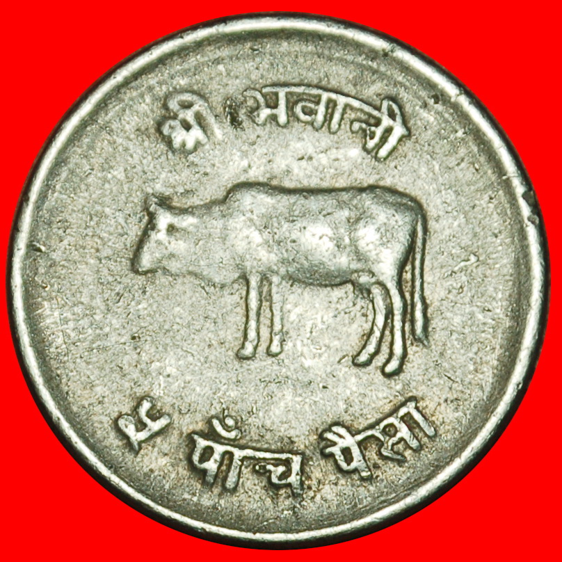 Ⰶ KUH (1971-1982): NEPAL ★ 5 PAISA 2032 (1975) FEHLER!★OHNE VORBEHALT!