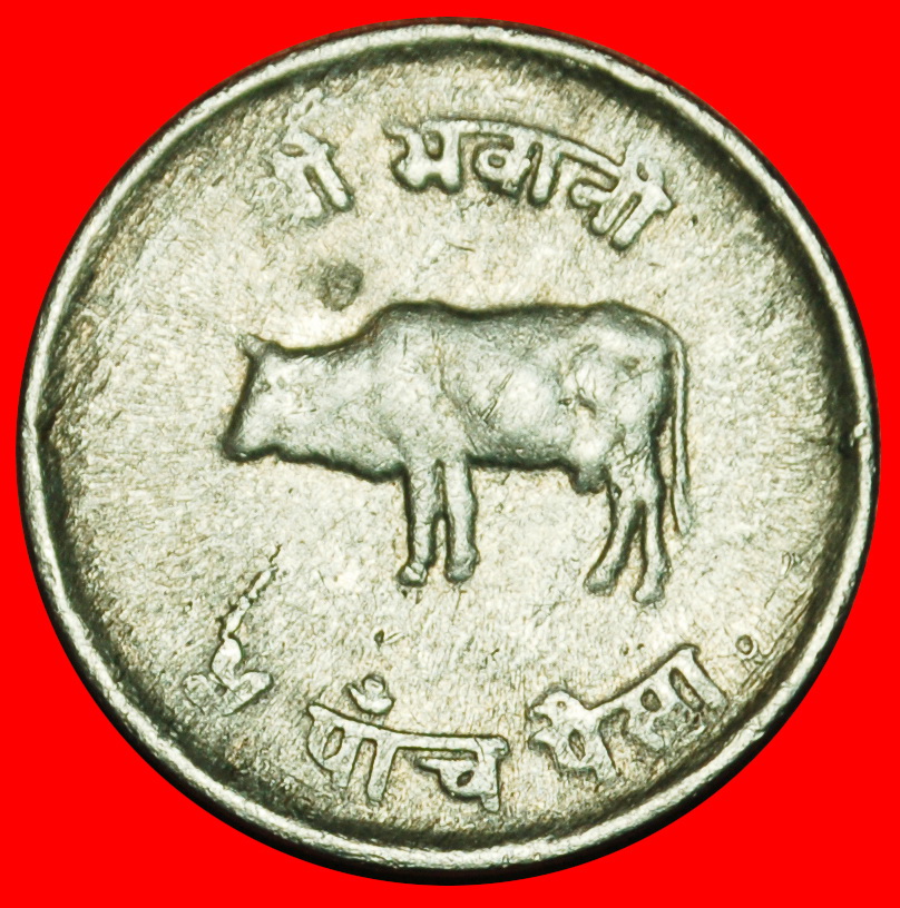 Ⰶ COW (1971-1982): NEPAL ★ 5 PAISA 2033 (1976) ERROR! ★LOW START ★ NO RESERVE!