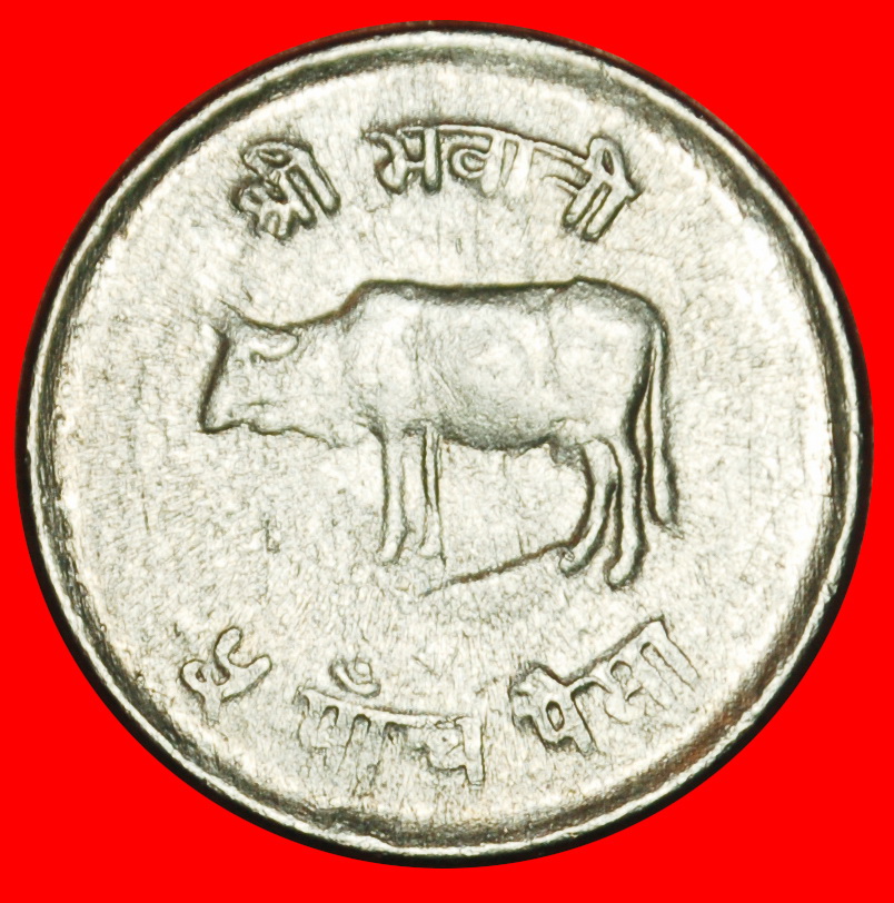 Ⰶ COW (1971-1982): NEPAL ★ 5 PAISA 2034 (1977) ERROR! ★LOW START ★ NO RESERVE!