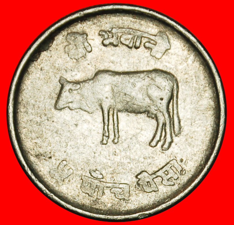 Ⰶ KUH (1971-1982): NEPAL ★ 5 PAISA 2035 (1978) FEHLER! ★OHNE VORBEHALT!