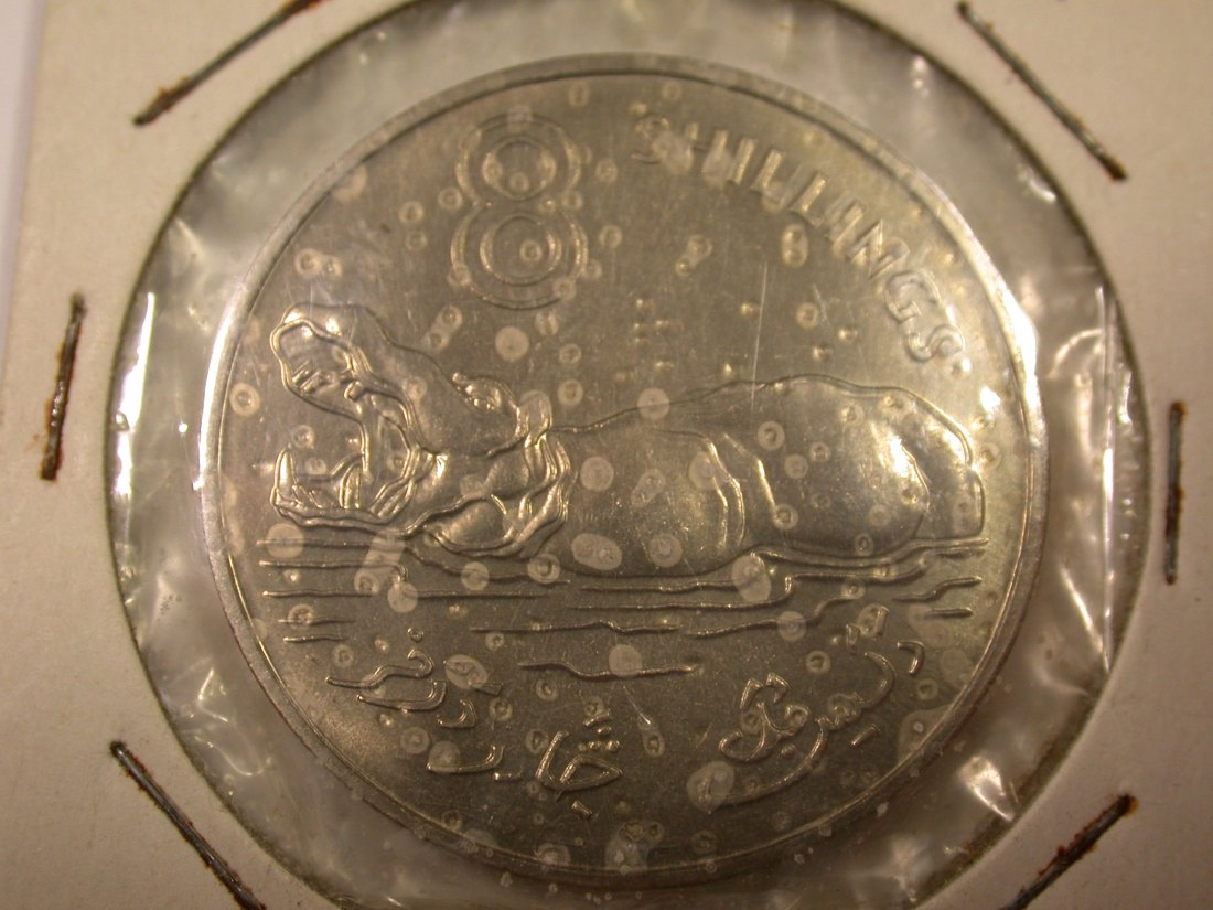I10 Gambia 8 Shillings 1970 in unc Originalbilder
