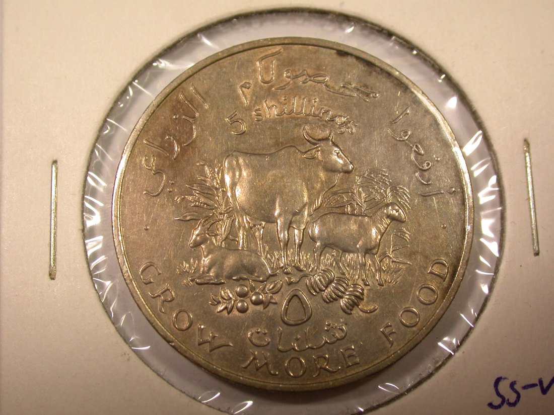 I10 Somalia F.A.O. 1970 5 Shillings in ss-vz Originalbilder