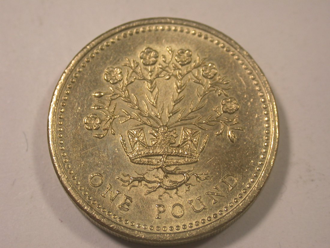 I13 Großbritannien 1 Pound 1991 in vz/vz-st Originalbilder