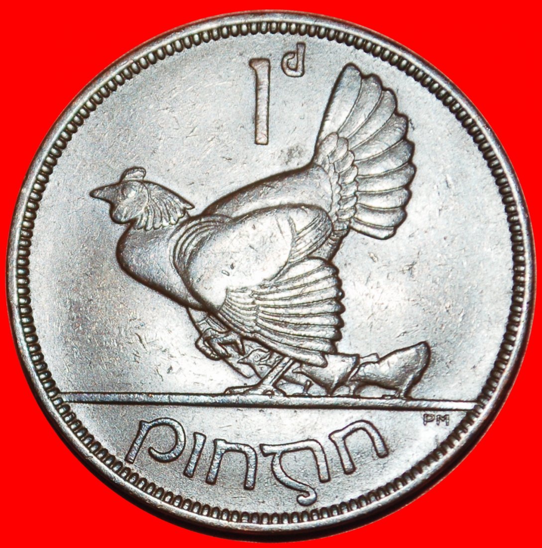  Ⰶ 2 SOLD GREAT BRITAIN (1928-1937): IRELAND ★ 1 PENNY 1937 HEN & 4 CHICKS! ★LOW START ★ NO RESERVE!   