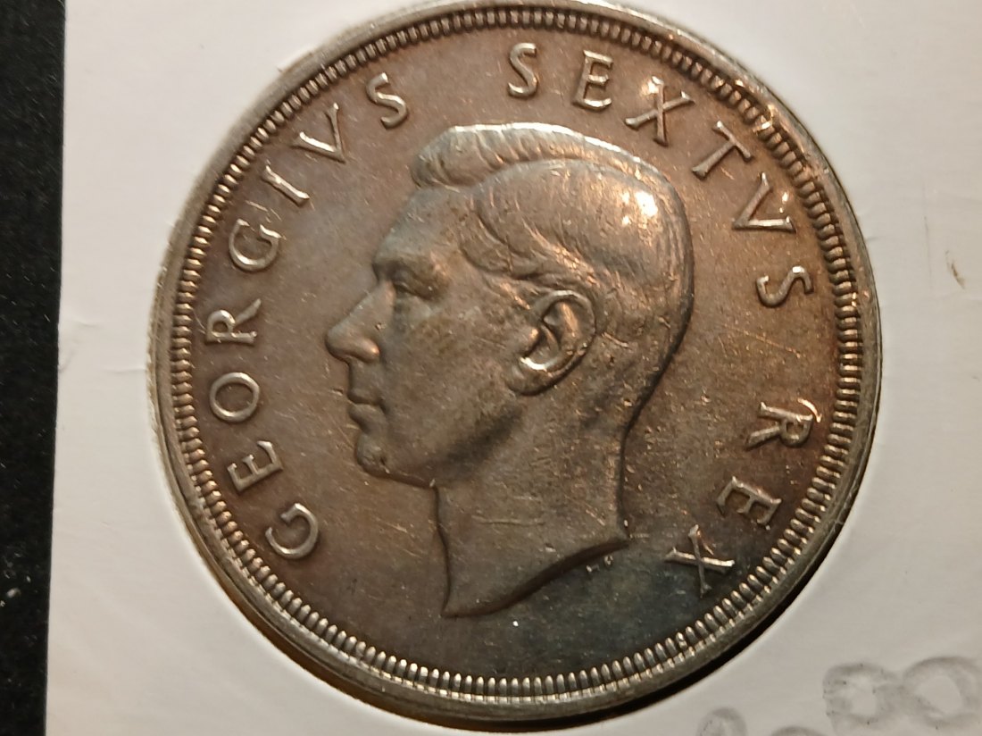  South Africa - 5 Shilling 1951 silber   