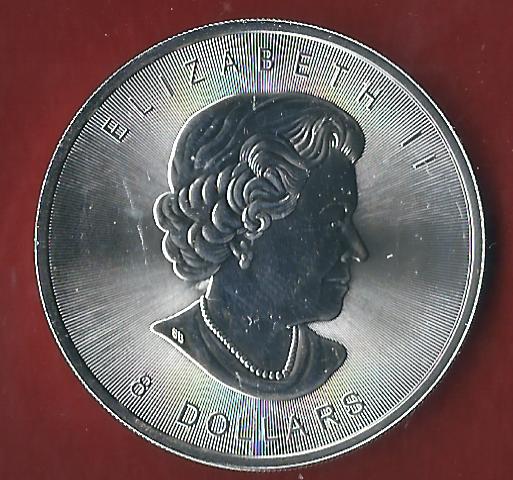  Kanada 8 D.2015 Bison 1,5 Oz. 45,55 Gr. St in oK Koblenzer Münzen Studio Koblenz Frank Maurer Al894   