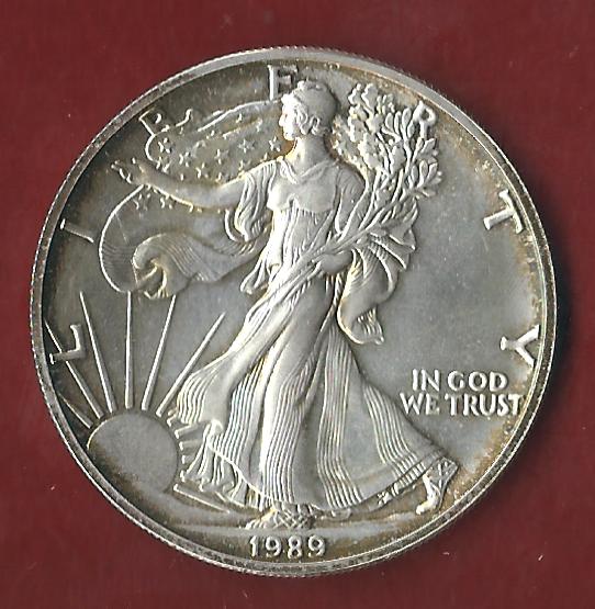  USA 1 D. Silver Eagle 1989 St  ohne Kapsel. Koblenzer Münzen Studio Koblenz Frank Maurer AL889   