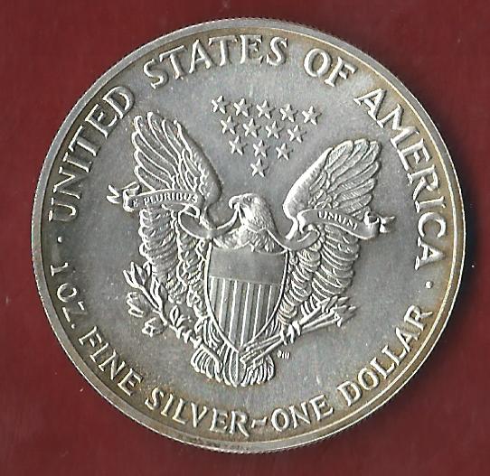  USA 1 D. Silver Eagle 1989 St  ohne Kapsel. Koblenzer Münzen Studio Koblenz Frank Maurer AL889   