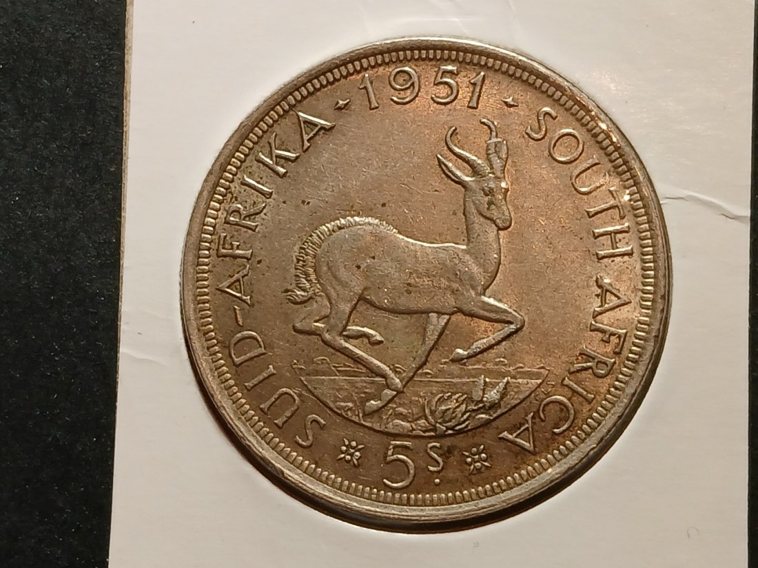  South Africa - 5 Shilling 1951 silber   