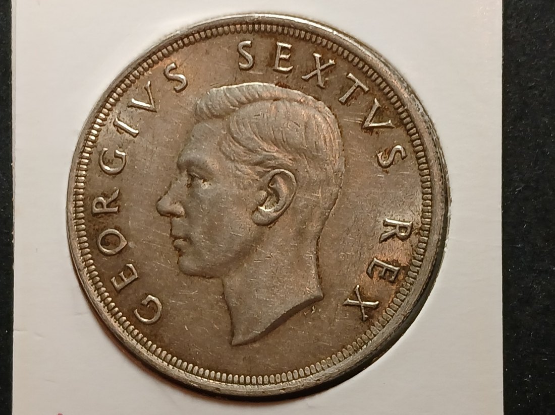  South Africa - 5 Shilling 1951 silber   