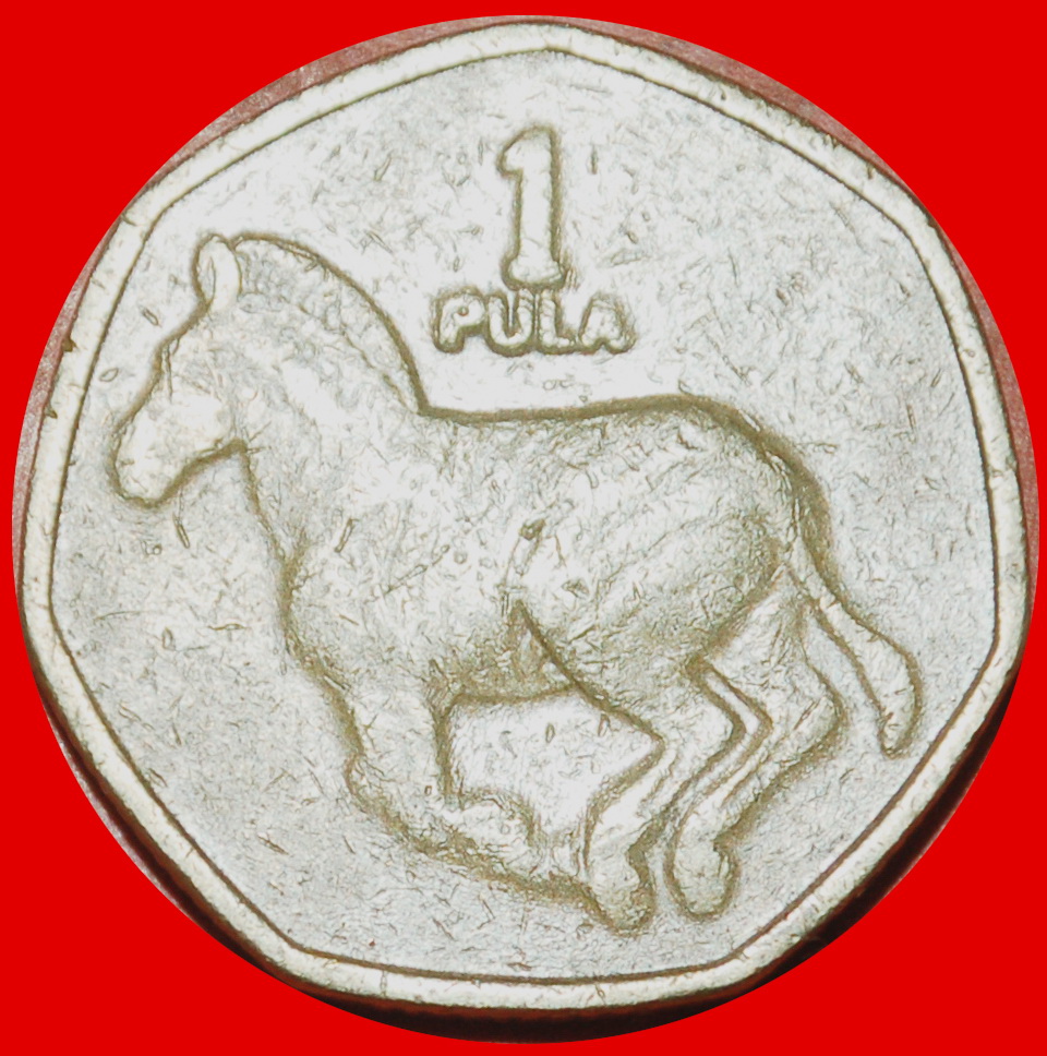  Ⰶ SÜDAFRIKA (1991-2007): BOTSWANA ★ 1 PULA 2007 SIEBENECK ZEBRA! ★OHNE VORBEHALT!   