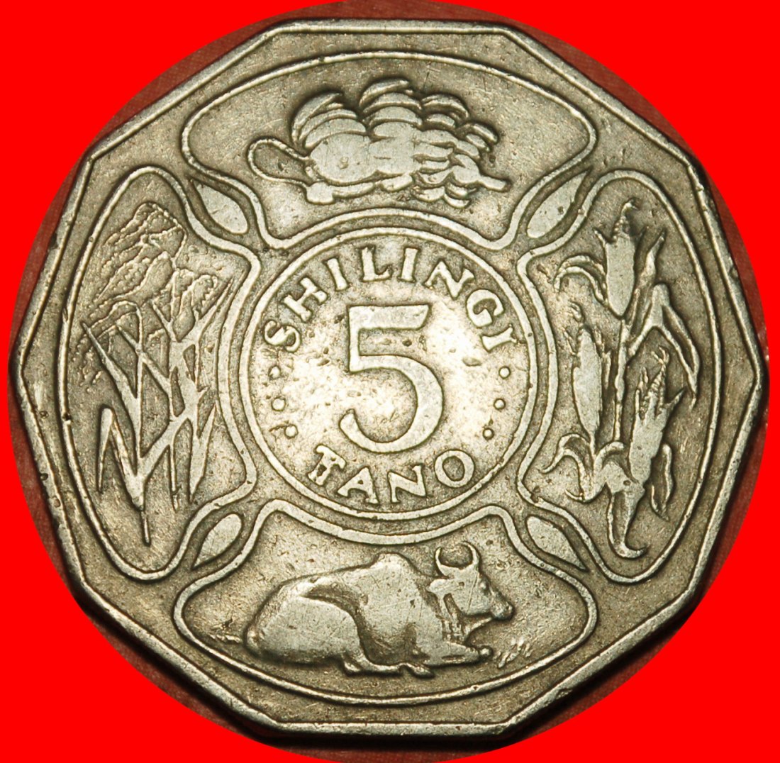  Ⰶ GREAT BRITAIN (1972-1980): TANZANIA ★ 5 SHILLINGS 1973 COW! ★LOW START ★ NO RESERVE!   