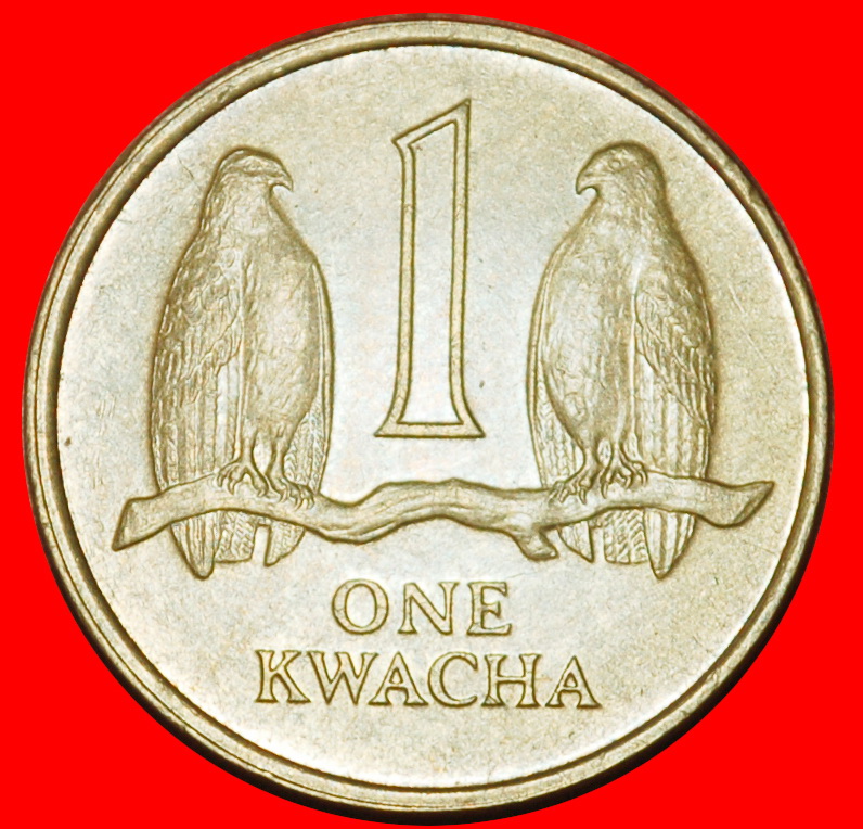  Ⰶ KANADA: SAMBIA ★ 1 KWACHA 1992 FALKE und PFERD!★OHNE VORBEHALT!   