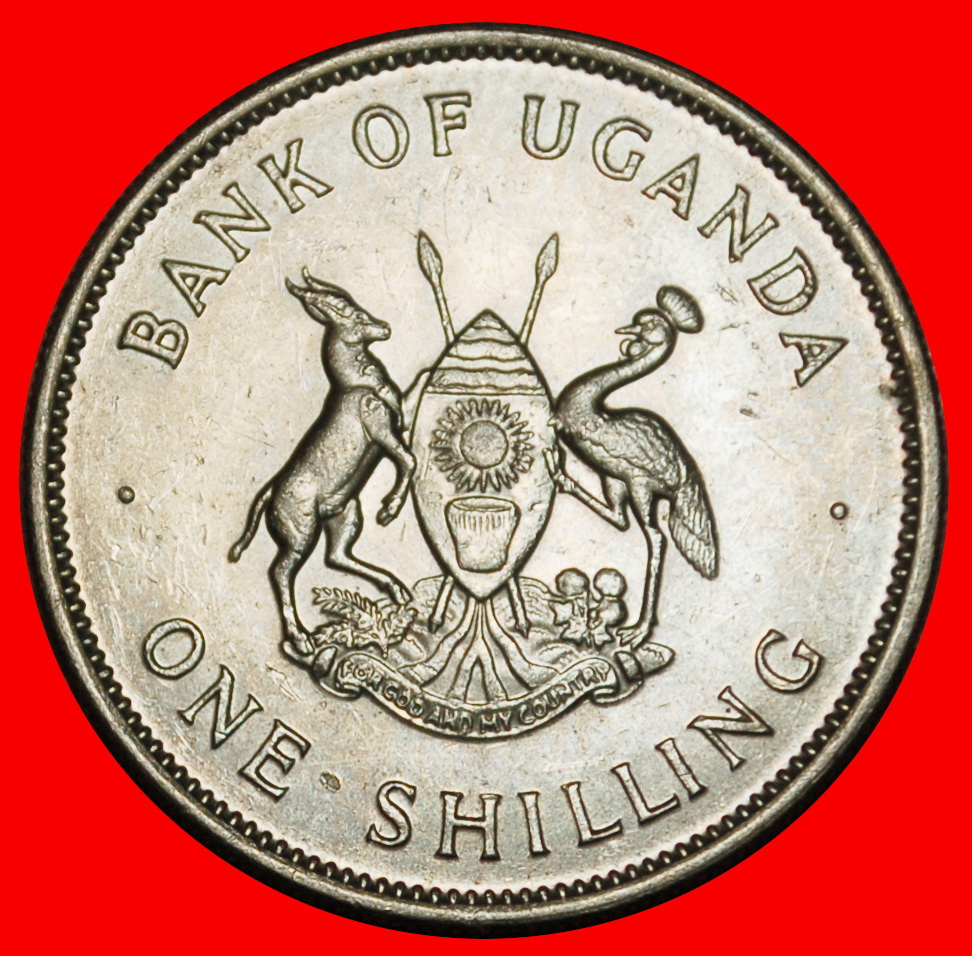  Ⰶ GROSSBRITANNIEN (1966-1976): UGANDA ★ 1 SHILLING 1976 KRANICHE! VZGL STEMPELGLANZ!★OHNE VORBEHALT!   