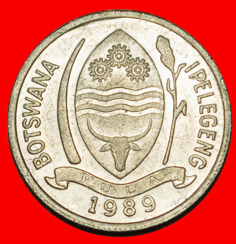 Ⰶ GROSSBRITANNIEN (1976-1991): BOTSWANA ★ 1 THEBE 1989 VOGEL VZGL STEMPELGLANZ!★OHNE VORBEHALT!   