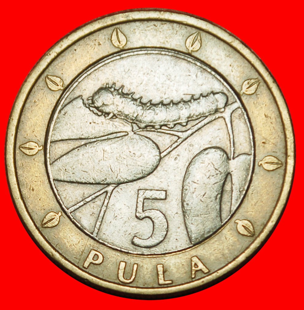  Ⰶ GROSSBRITANNIEN (2000-2007): BOTSWANA ★ 5 PULA 2000 MOPANE ESSEN! ★OHNE VORBEHALT!   