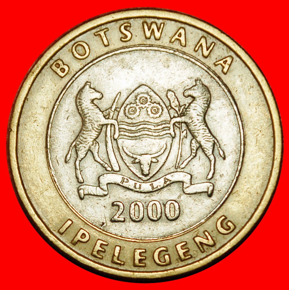  Ⰶ GROSSBRITANNIEN (2000-2007): BOTSWANA ★ 5 PULA 2000 MOPANE ESSEN! ★OHNE VORBEHALT!   