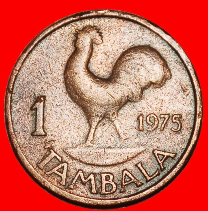 Ⰶ GREAT BRITAIN (1971-1982): MALAWI ★ 1 TAMBALA 1975 COCK! BANDA (1963-1994)★LOW START ★ NO RESERVE!