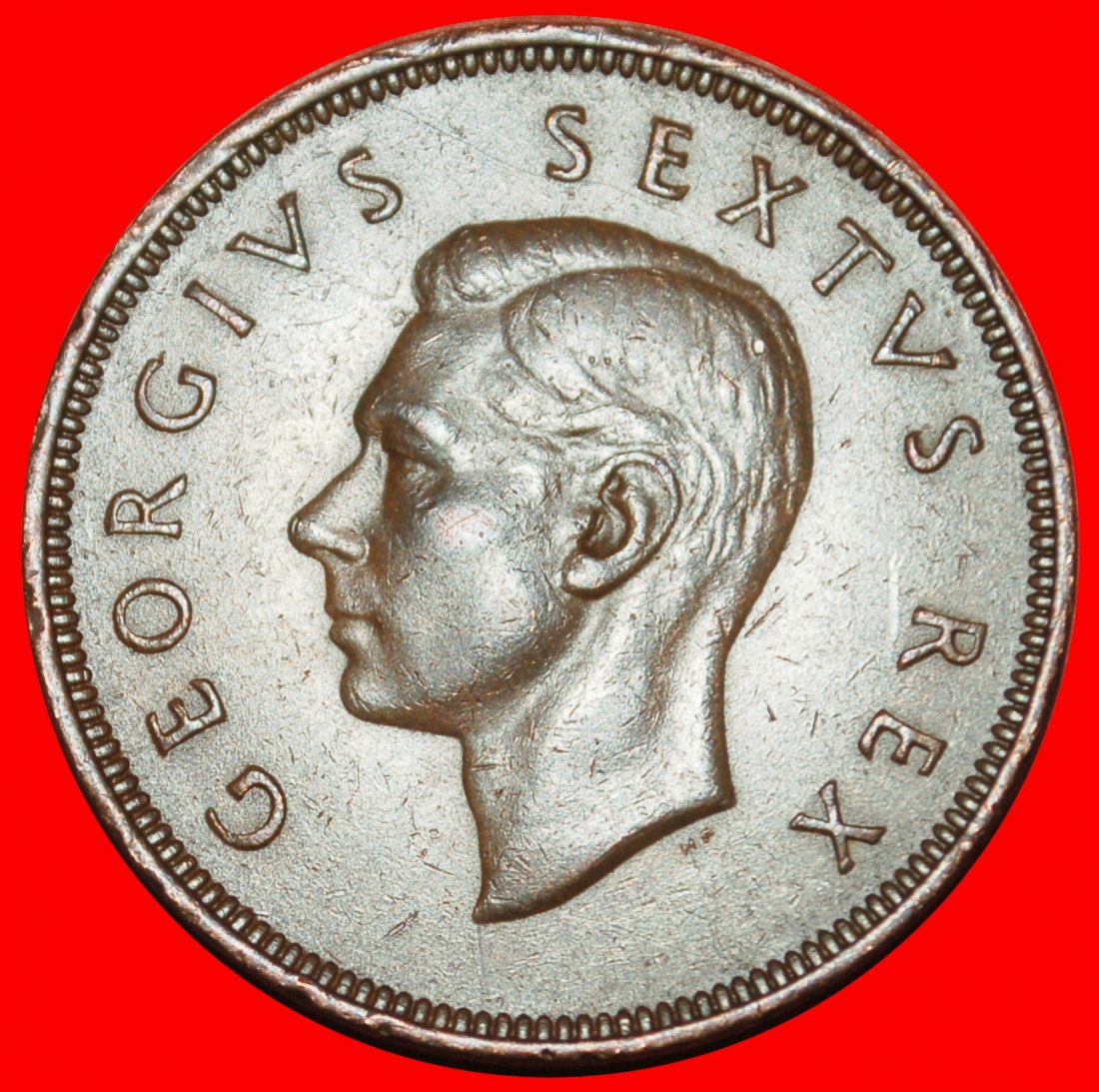  Ⰶ OHNE INDIEN (1948-1950): SÜDAFRIKA ★ 1 PENNY 1949 SCHIFF! GEORG VI. (1937-1952)★OHNE VORBEHALT!   