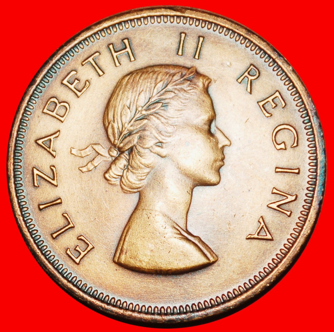  Ⰶ ELISABETH II. (1953-2022): SÜDAFRIKA ★ 1 PENNY 1957 SCHIFF (1953-1960)!★OHNE VORBEHALT!   