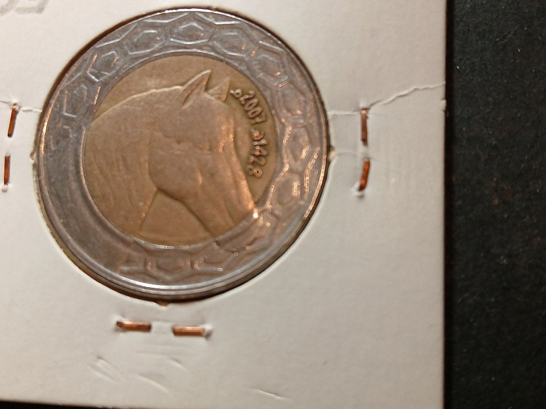 Algeria - 100 Dinars  2007   