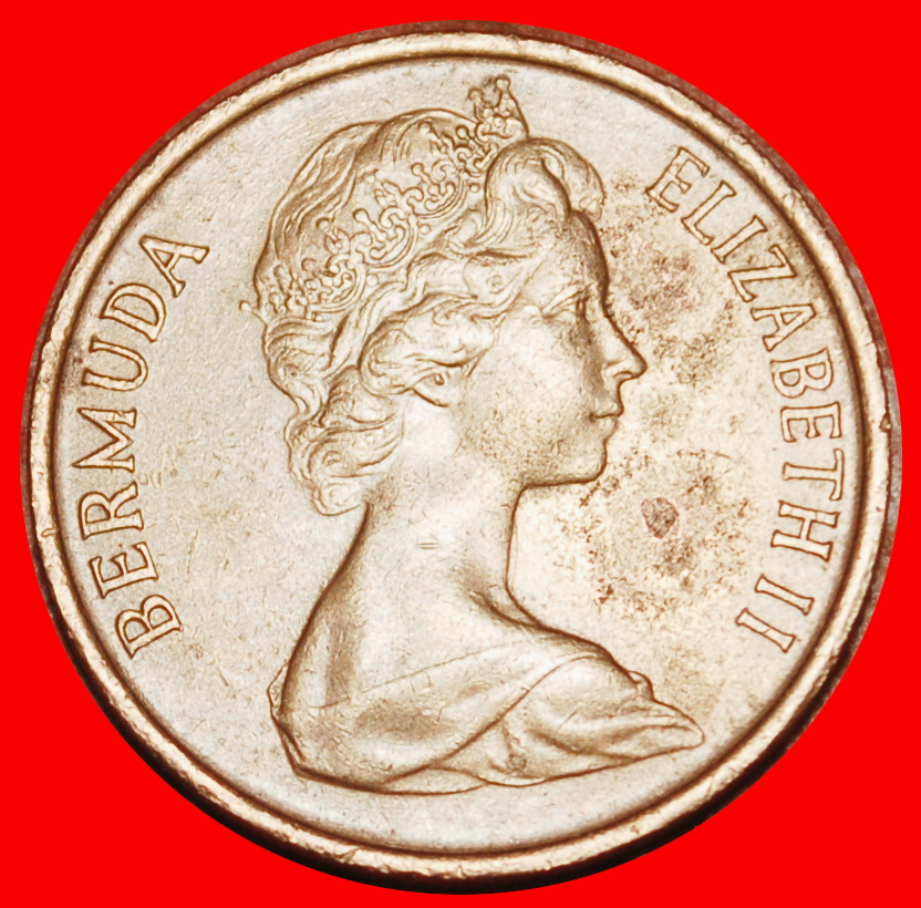 Ⰶ GREAT BRITAIN (1970-1985): BERMUDA★1 CENT 1970 PIG★ ELIZABETH II 1953-2022★LOW START ★ NO RESERVE!   