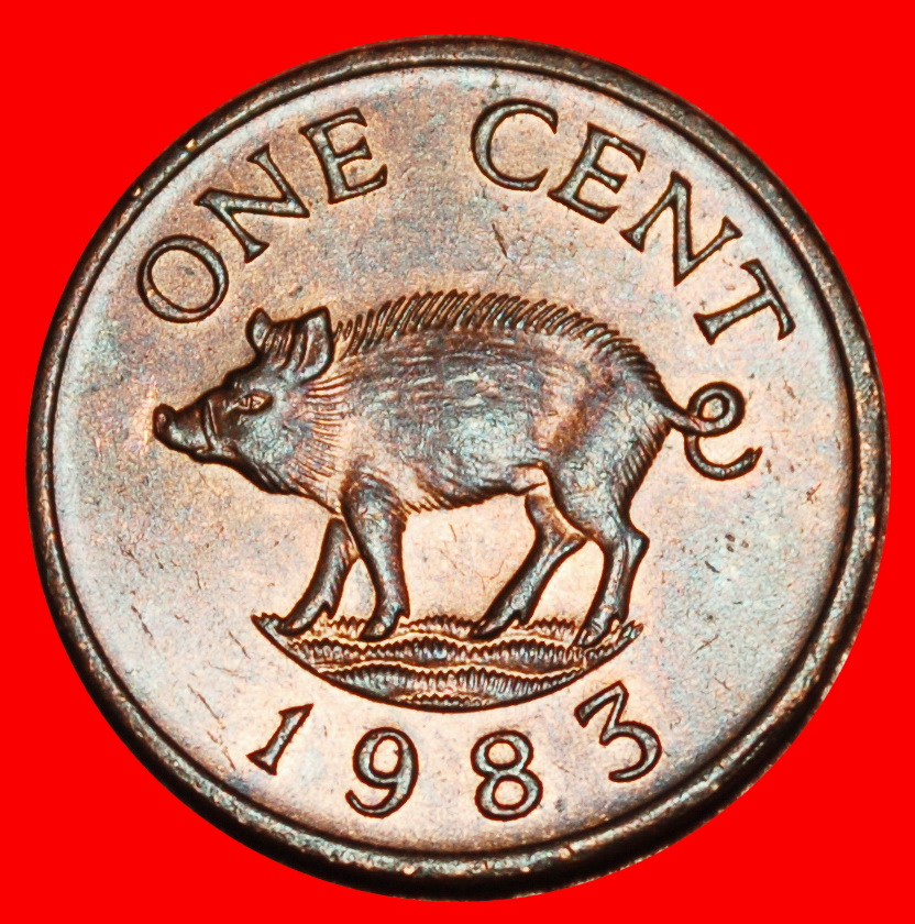 Ⰶ GREAT BRITAIN (1970-1985): BERMUDA★1 CENT 1983 RARE★ELIZABETH II 1953-2022★LOW START ★ NO RESERVE!