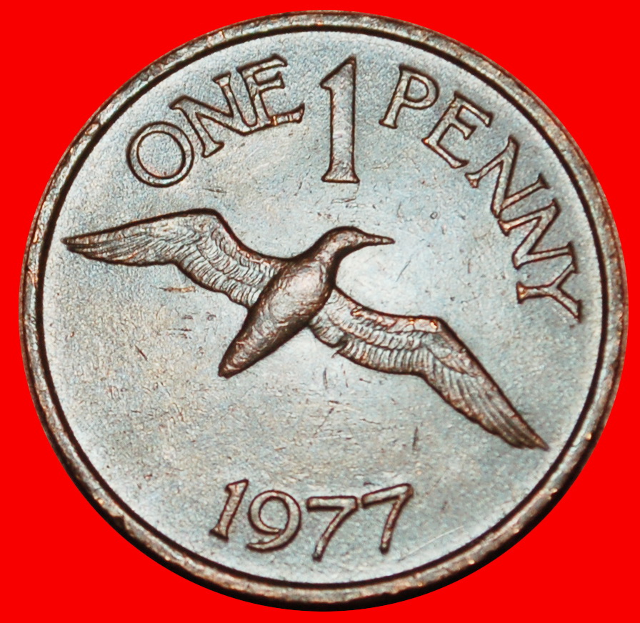  Ⰶ GROSSBRITANNIEN (1977-1981): GUERNSEY ★ 1 PENNY 1977! ELISABETH II. (1953-2022) ★OHNE VORBEHALT!   