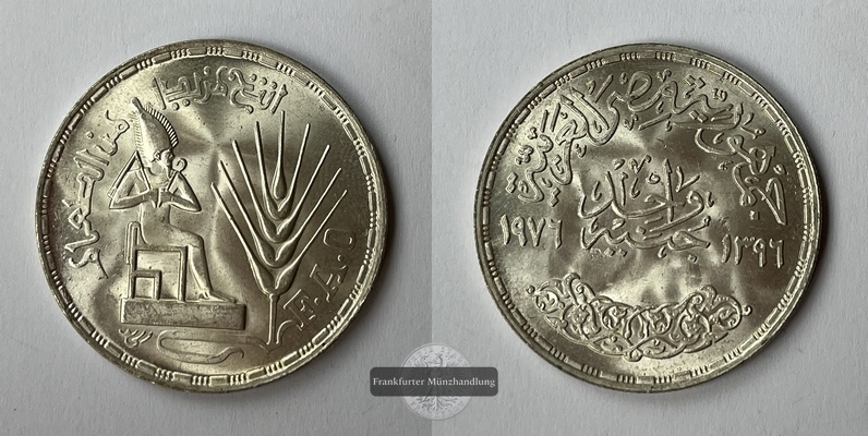  Ägypten 1 Pound  1976  FAO Osiris KM#453  FM-Frankfurt  Feingsilber: 10,8g   