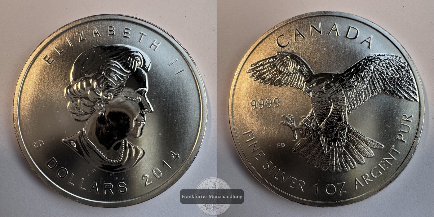  Kanada 5 Dollar 2014 Elizabeth II Wanderfalke FM-Frankfurt KM#1604 Feinsilber: 31,1g   