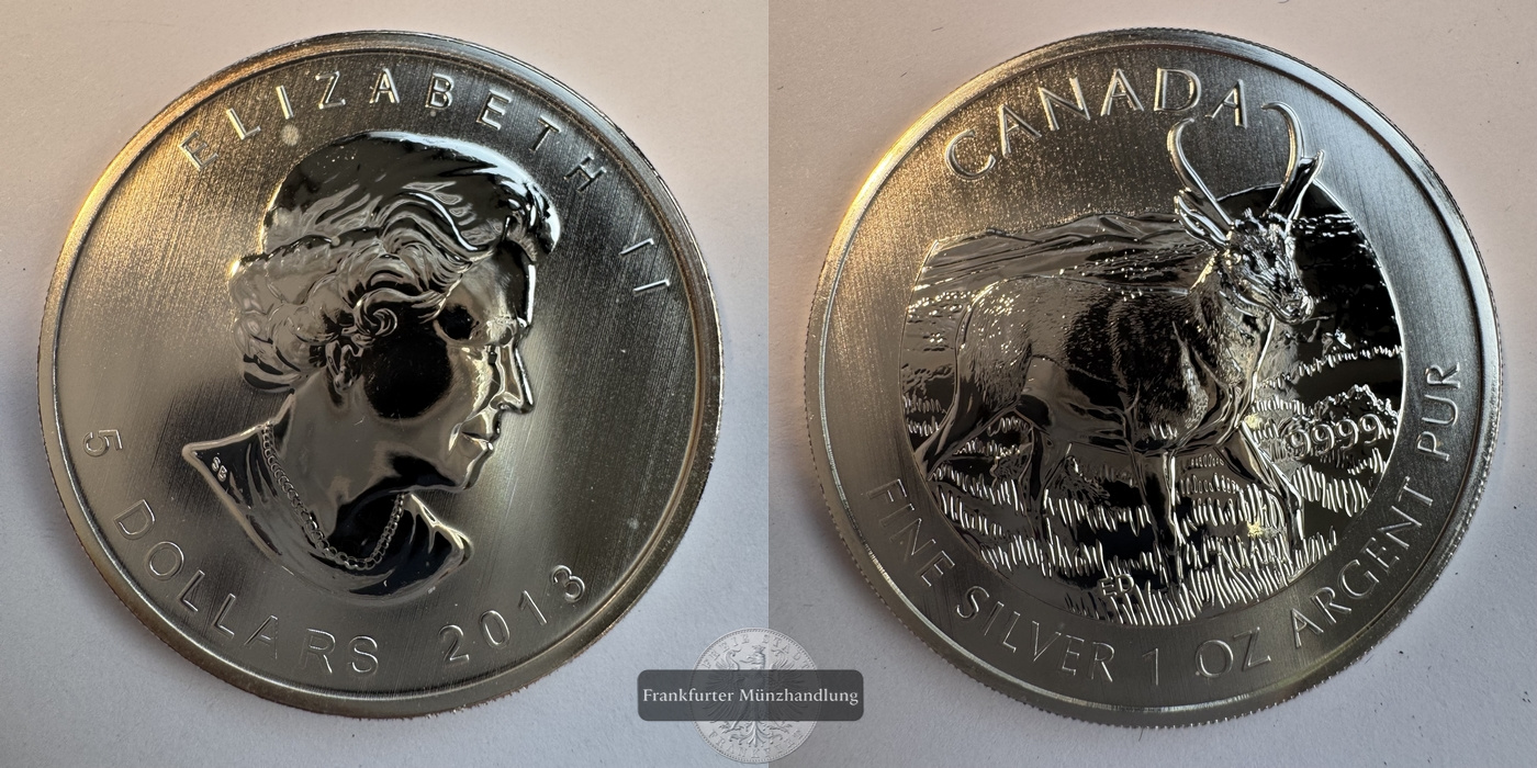  Kanada - 5 Dollar 2013 Kanadische Tierwelt - Antilope  FM-Frankfurt KM#1297 Feinsilber: 31,1g   