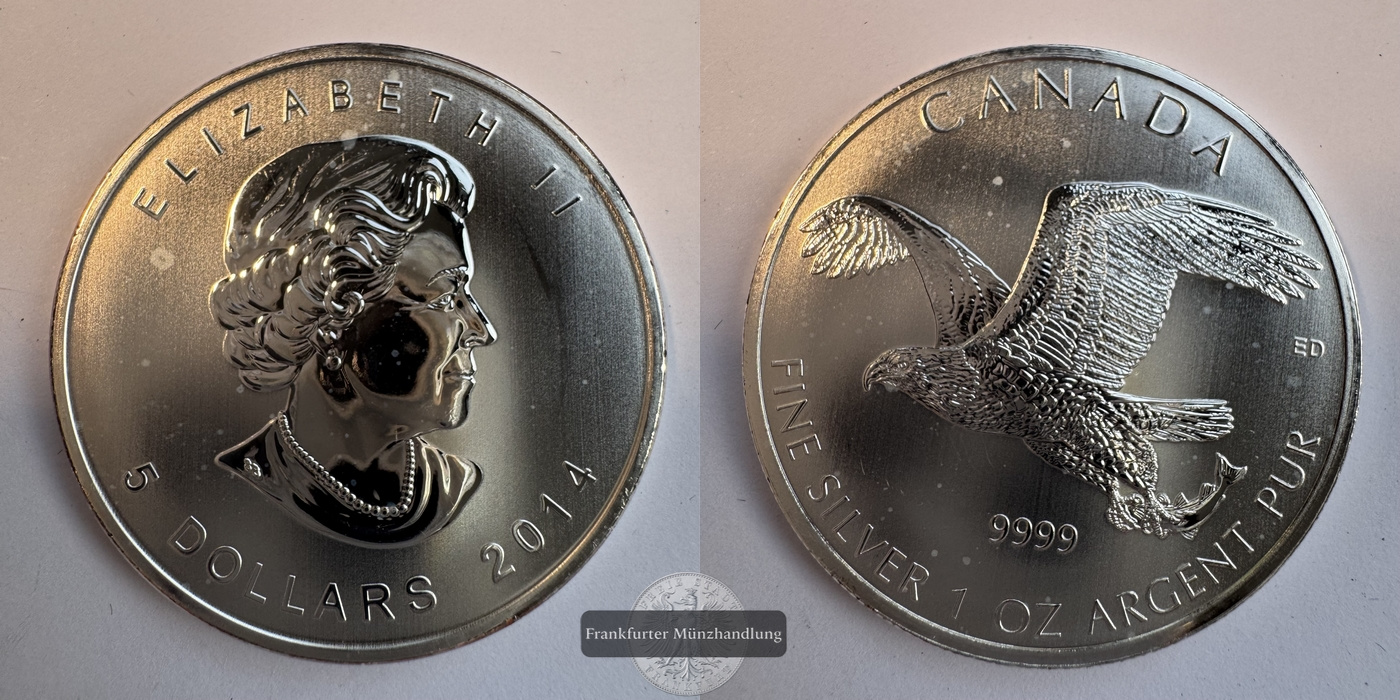  Canada 5 Dollar 2014 Raubvögel - Weißkopfseeadler FM-Frankfurt KM#1719 Feinsilber: 31.1g   