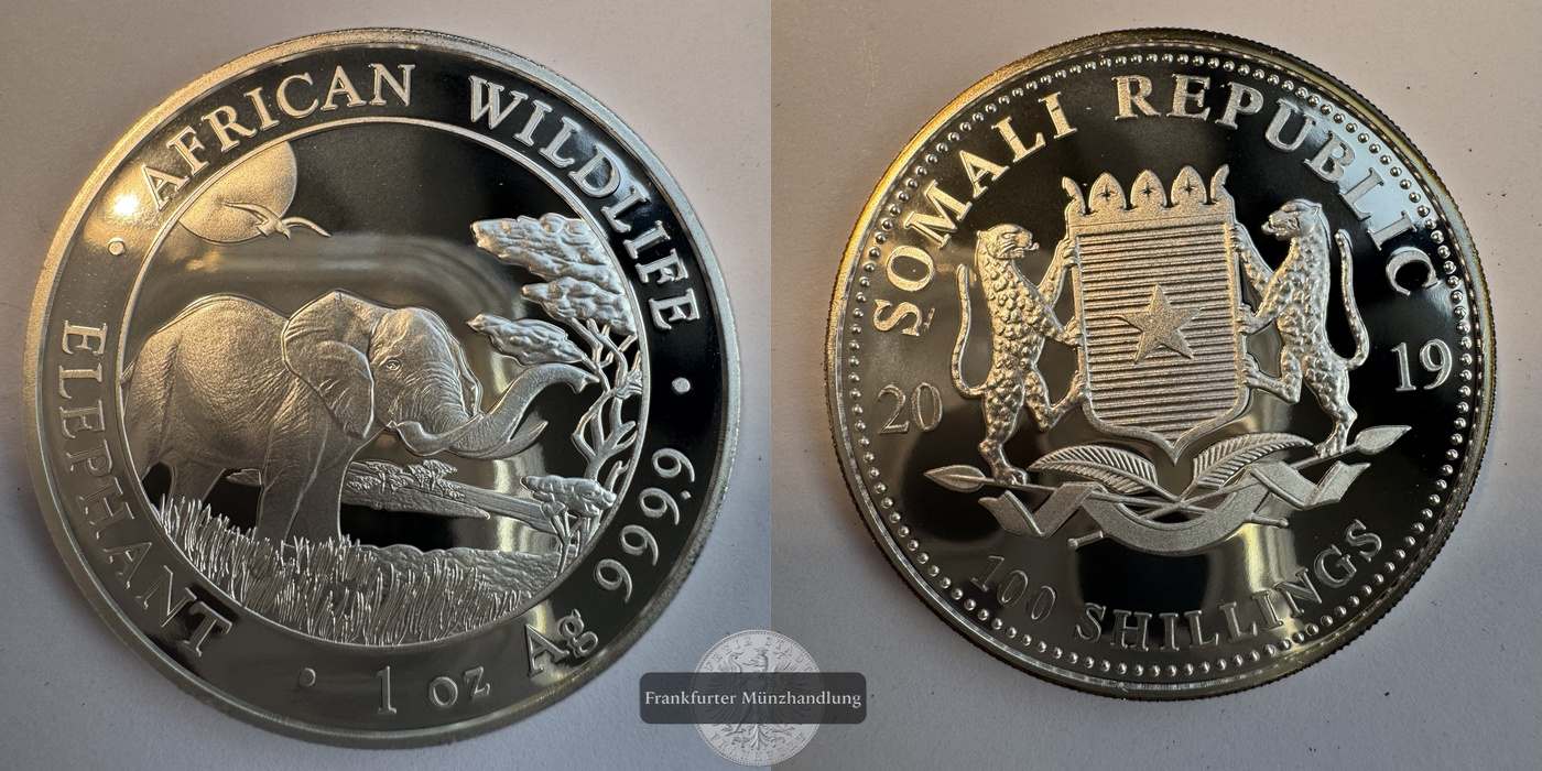  Somalia 100 Schilling 2019 Elephant FM-Frankfurt KM#306 Feinsilber: 31,1g   