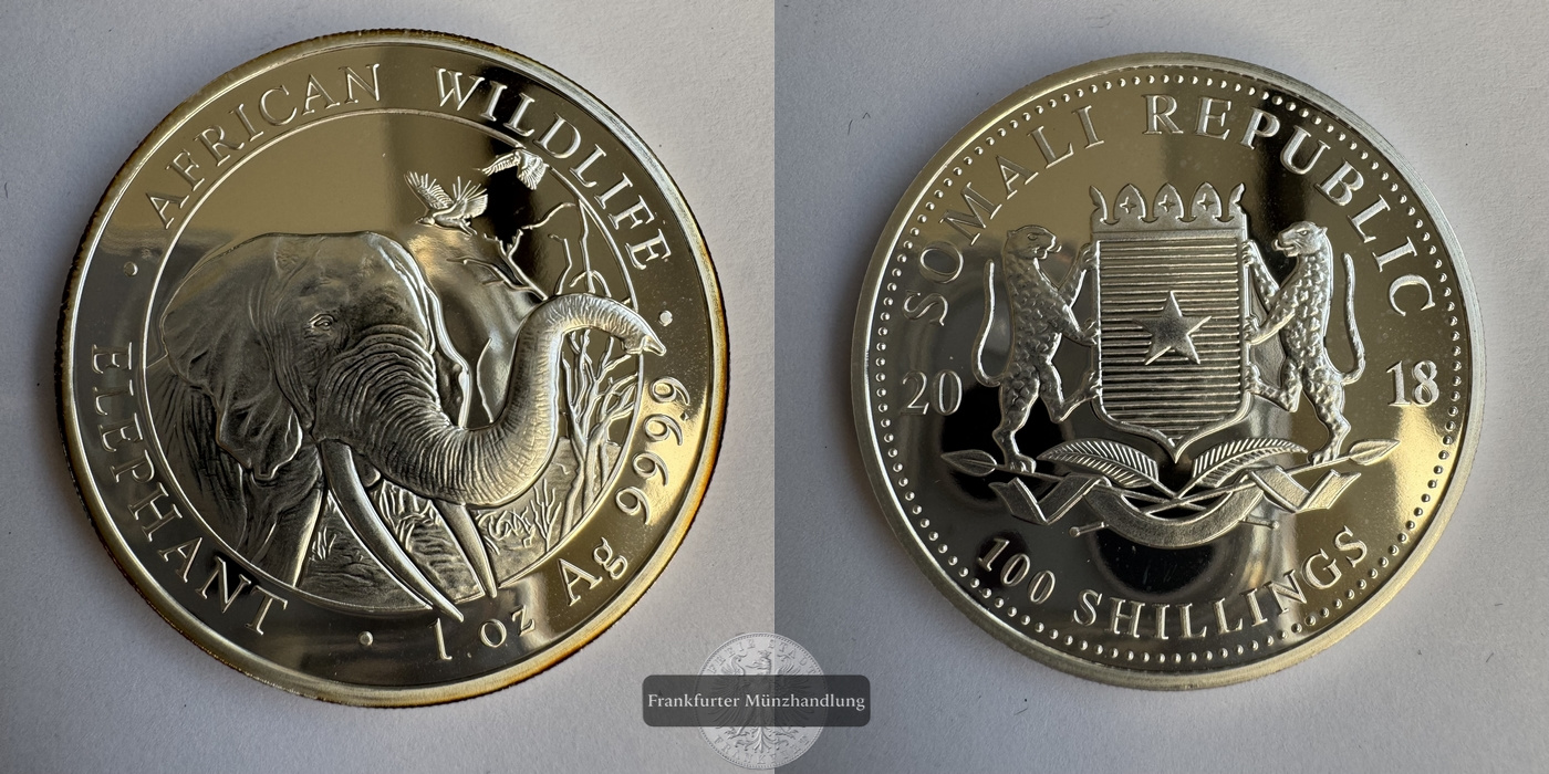  Somalia 100 Schilling 2019 Elephant/Elefant FM-Frankfurt KM#284 Feinsilber: 31,1g   