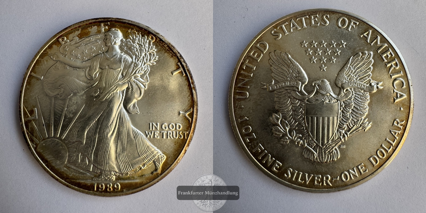  USA 1 Dollar 1989 Walking Liberty  FM-Frankfurt KM#273 Feinsilber: 31g   