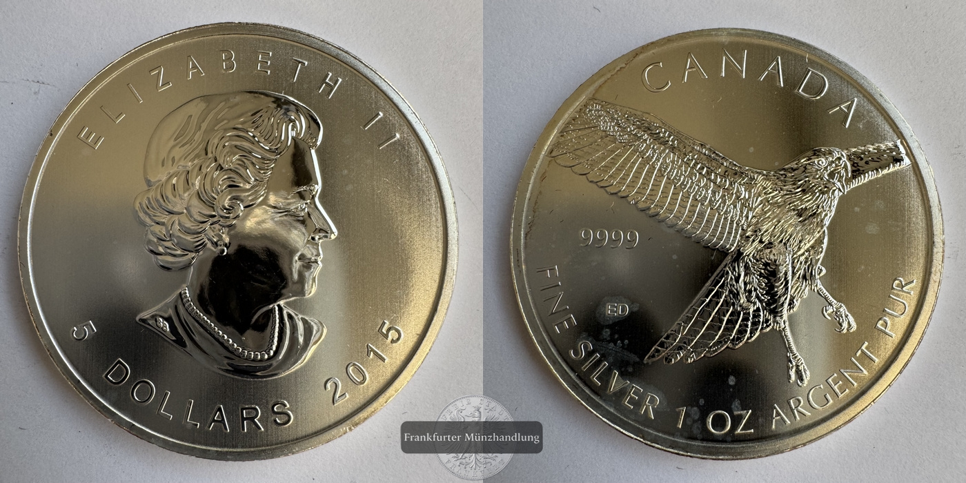  Kanada 5 Dollar 2015 Elizabeth II Rotschwanzbussard FM-Frankfurt KM#1882 Feinsilber: 31,39g   