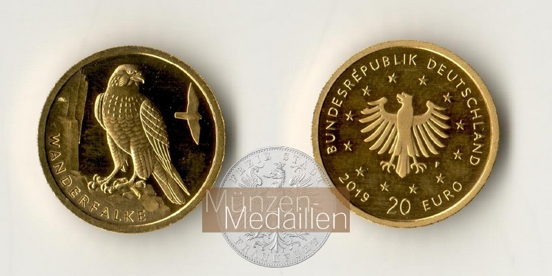 BRD  20 Euro MM-Frankfurt Feingold: 3,88g Heimische Vögel - Wanderfalke 2019 F 